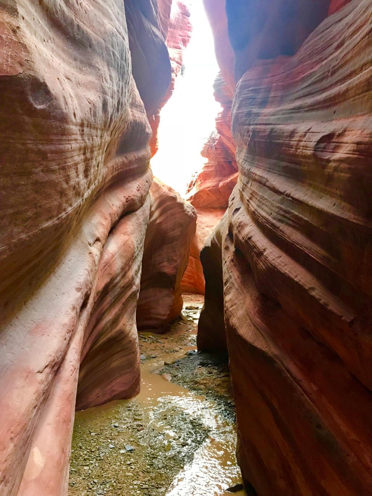 Escalante Yurts - Luxury Lodging エクステリア 写真